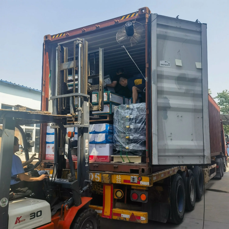 Parçeyên Kamyonên Giran ên SKYOND - Li Her Cihê Bi Hêsan Bimeşin!